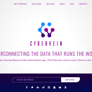 What Is CyberVein Cryptocurrency?
