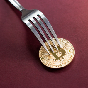 Bitcoin Cash Price Remains Stable as Pre-fork Trading Volatility Increases
