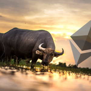 Ethereum Price Analysis and Prediction – Bulls Coming in HOT