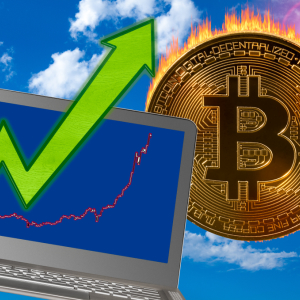 Bitcoin to Hit $50,000 Despite Recent Plummet, BitMEX CEO Says