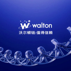 5 Thoughts on the Waltonchain Network Attack