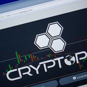 Cryptopia Officially Resumes Trading and Introduces its own “IOU Token”