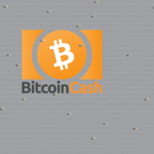 Bitcoin Cash Mines a 13MB Block