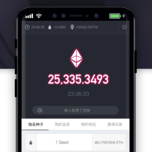 Chinese Clone Clogs Ethereum’s Network