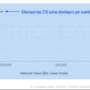 Ethereum Has Highest Number of Blockchain Protocol Developers Says Report