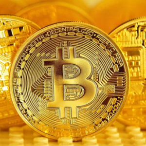 Bitcoin Graduates to Safe Heaven Status