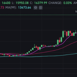 Yearn Overtakes Bitcoin in Price