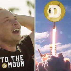 Meme Coin Creator Helps Elon Musk Fight ETH Scammer Bots
