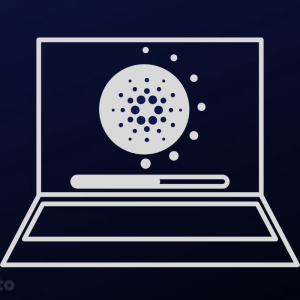 Cardano’s Shelley Protocol Upgrade On the Right Path as Search Metrics Explode