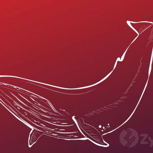 Data Shows Mammoth Whale Activity On Coinbase And Gemini Right Before Bitcoin Dipped